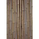 Bambusstange Tonkin gelblich mit Durch. 1,4- 1,6cm, Länge 240cm